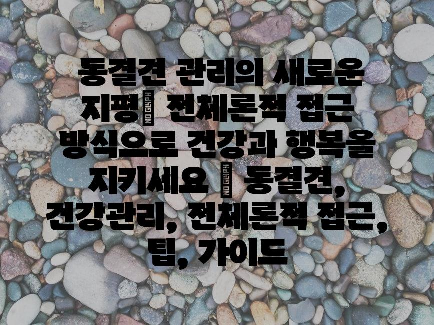 샘플 (82)