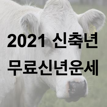  2021년 무료신년운세 보는 방법, 신한생명 신년운세