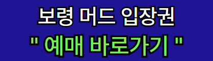 보령 머드 입장권 예매 바로가기