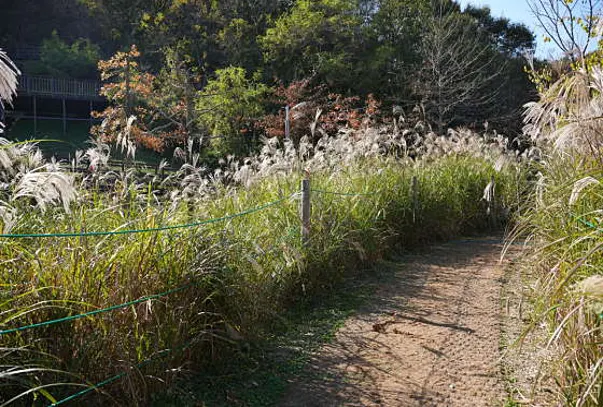 바다향기수목원