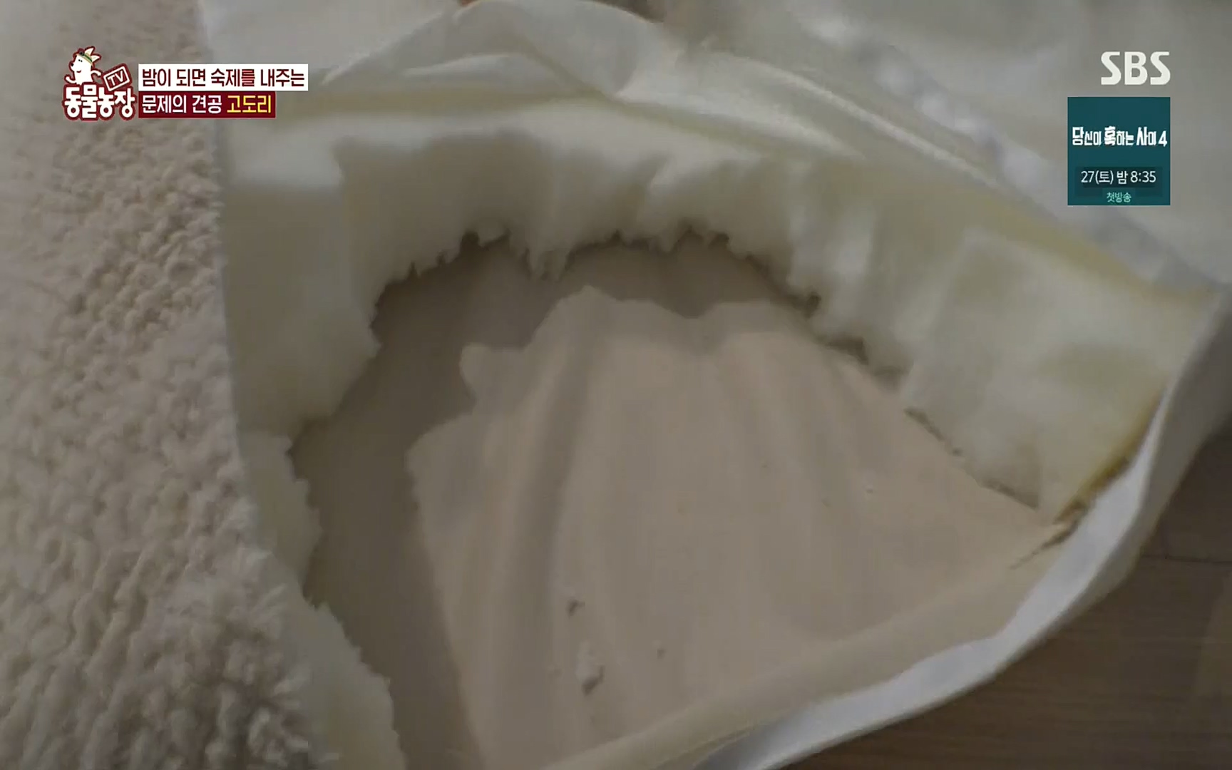 TV 동물농장.E1083.220821p.H264-F1RST.mp4_20220821_183650.172.jpg