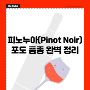 피노누아