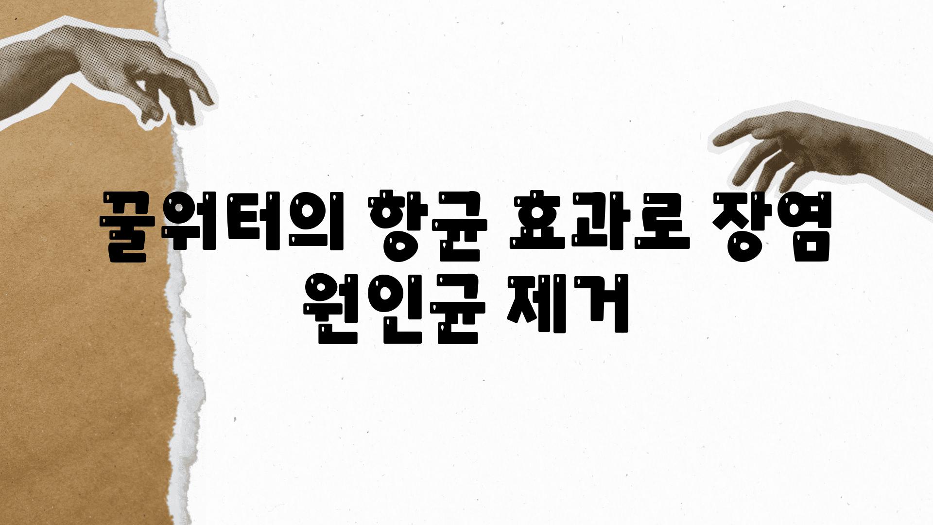 꿀워터의 항균 효과로 장염 원인균 제거