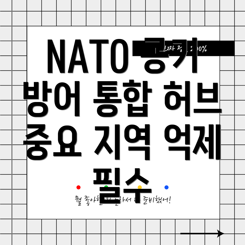 NATO의 공기 방어 시스템