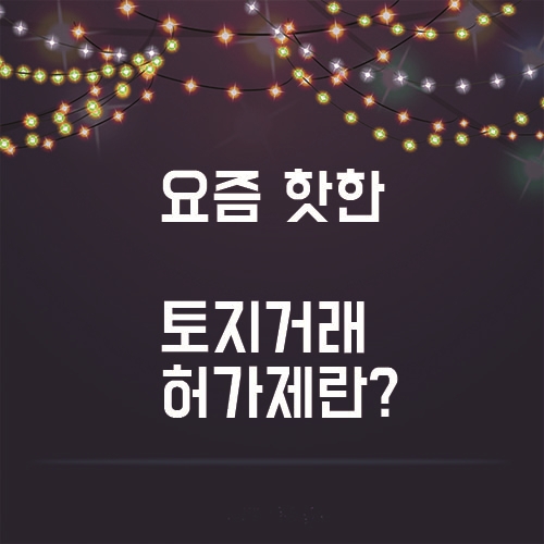  요즘 핫해진 토지거래허가제도, 왜 핫해진걸까?
