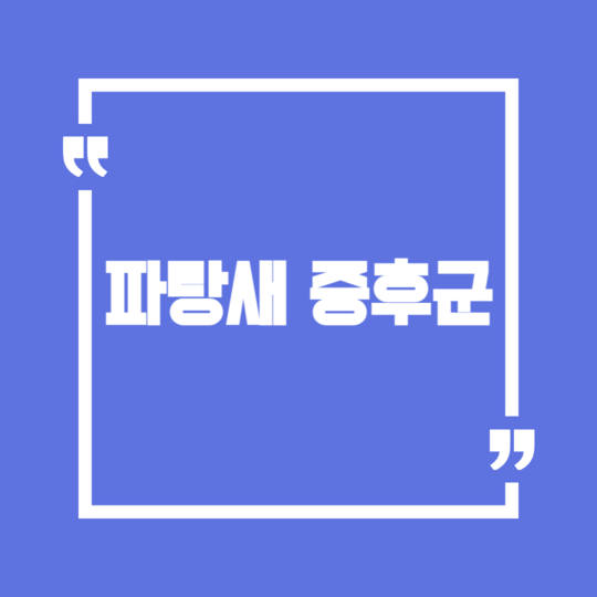  파랑새 증후군의 기원과 증상 및 극복 방법