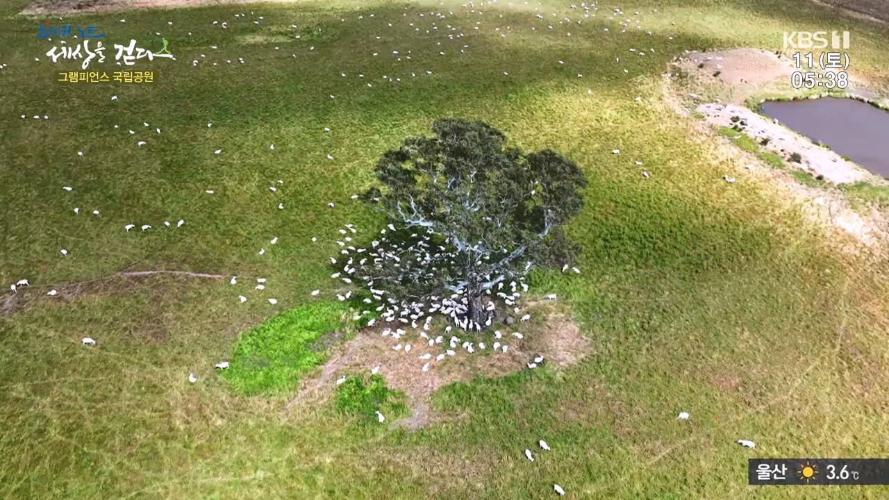 트레킹노트 세상을 걷다.E296.231112p-NEXT.mp4_20231111_182054.687.jpg