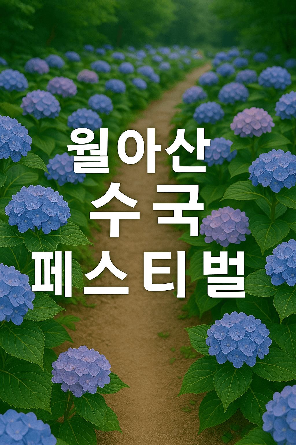 월아산 수국 수국 페스티벌