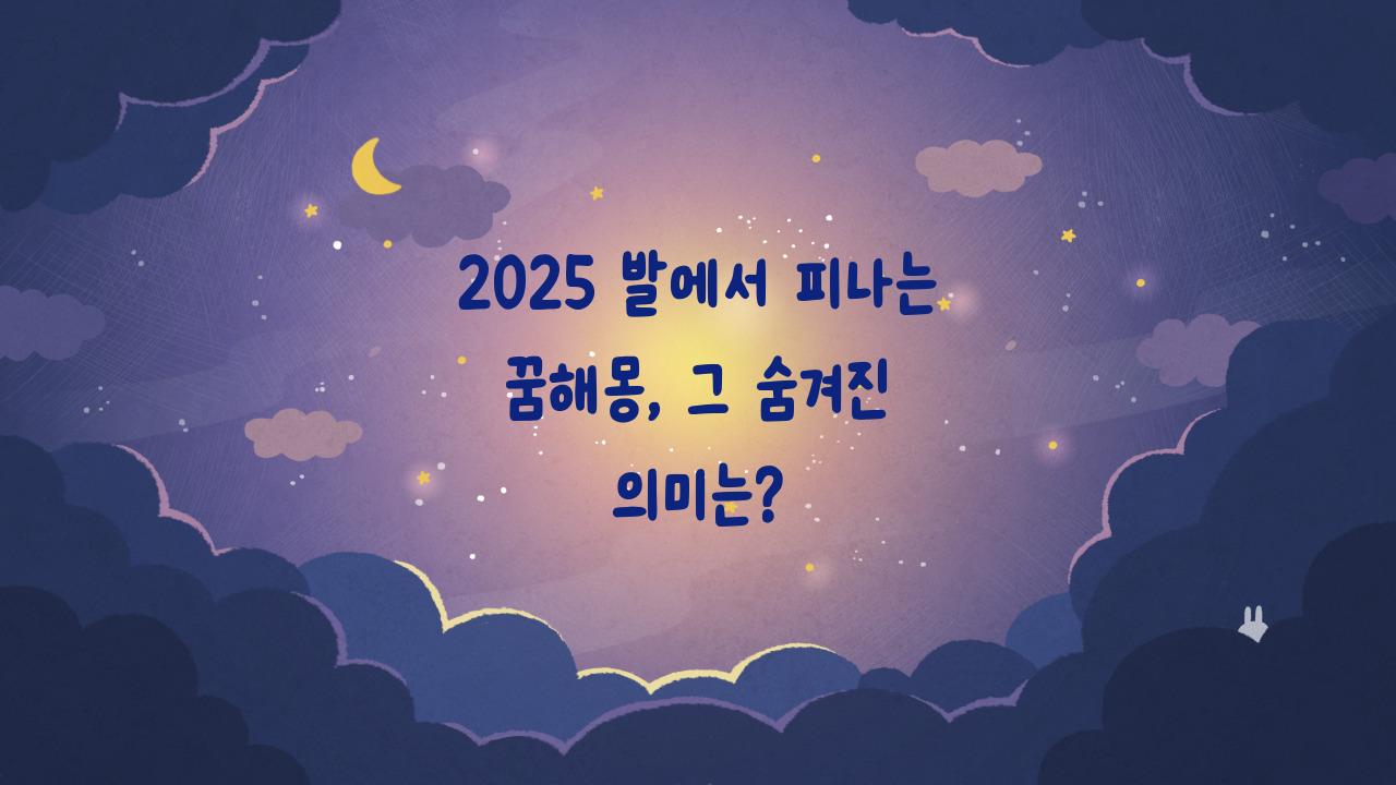 2025 발에서 피나는 꿈해몽