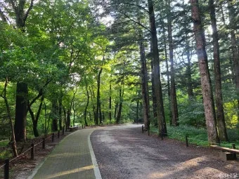 숨겨진 힐링 명소로 떠나는 포천 광릉수목원 완전 정복 가이드북 2025_10