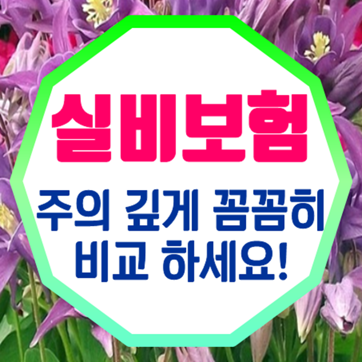  아기 실비보험 인터넷으로 보장내용 및 주의사항을 꼼꼼히 비교 해보세요!