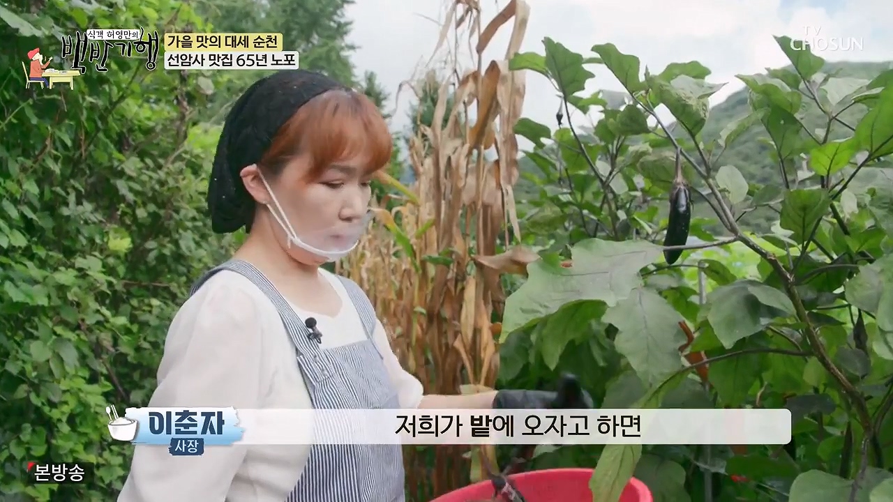 식객 허영만의 백반기행.E216.230916p-NEXT.mp4_20230916_163222.182.jpg
