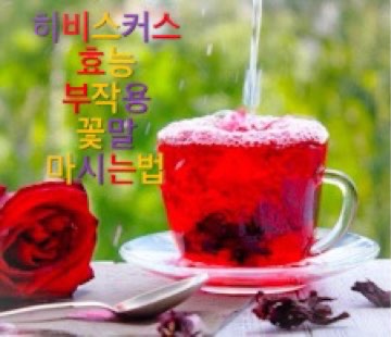 히비스커스_효능_부작용_꽃말_마시는법_먹는법