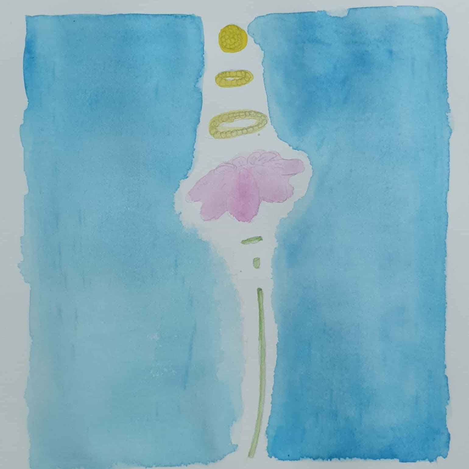  Flower 꽃 / 일러스트 그림 드로잉 / 식물화 그리기