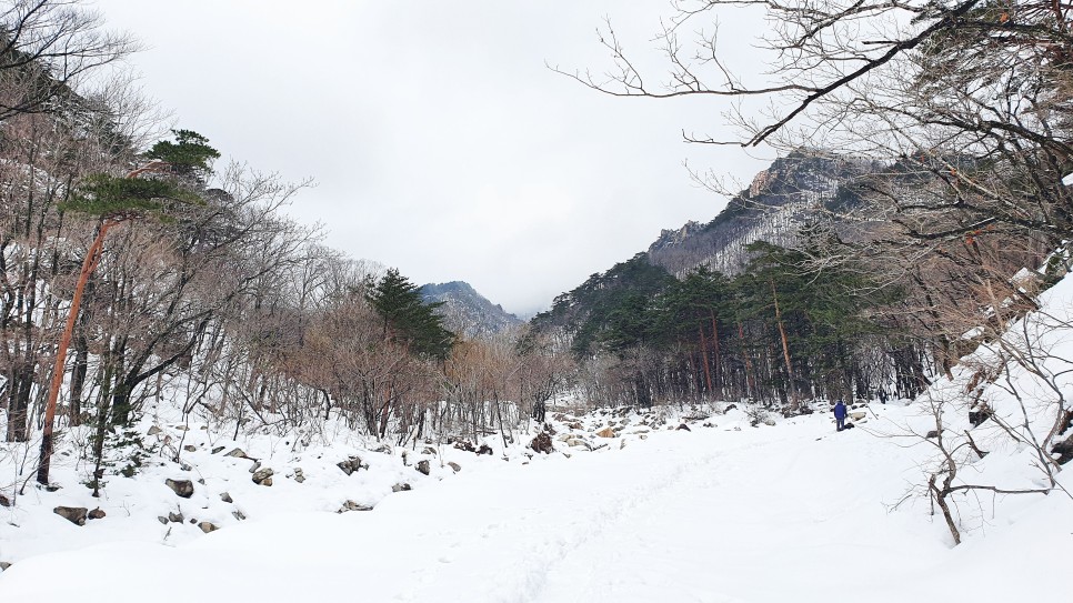 눈쌓인설악산, 15