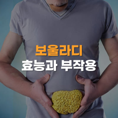 보울라디&#44; 부작용&#44; 효능&#44; 효과&#44; 방귀