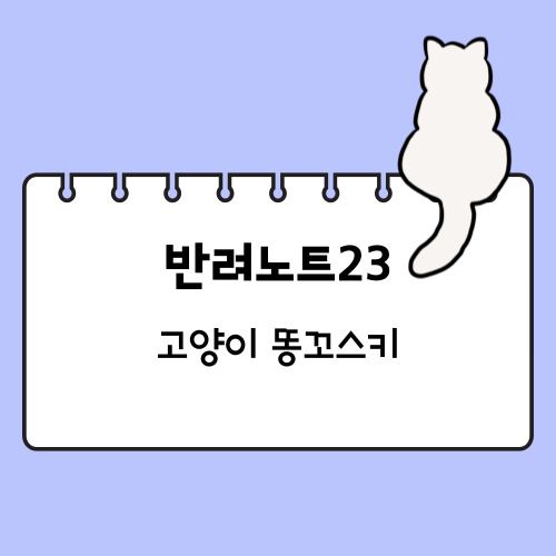 고양이 똥꼬스키 타는 이유