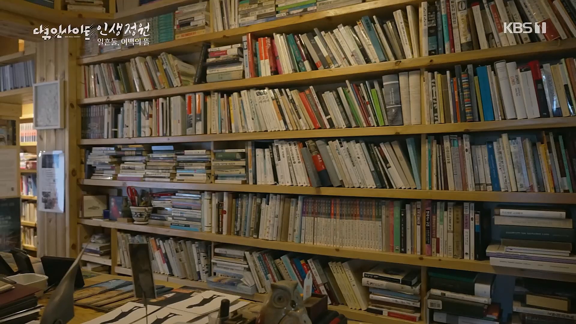 다큐 인사이트.E135.221229p.H264-F1RST.mp4_20230109_204210.257.jpg