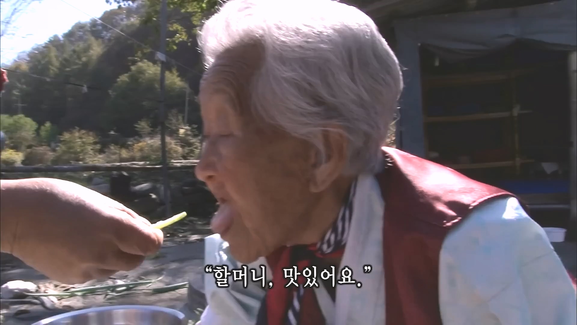 [인간극장 다시보기] 다시 태어나도 서로밖에 없다 하시는 백발의 황혼 부부, 따뜻하고 싱그러운 신혼일기 제2막이 시작된다 KBS 방송.mp4_20240415_133450.152.jpg