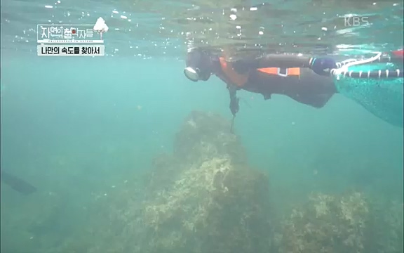 [4회] 자연의 철학자들 - KBS행복하냐고 묻는다면] 흙과 돌, 숲과의 눈맞춤 그리고 물속에서의 숨소리까지 오롯이 김창옥.ts_20220329_191202.900.jpg