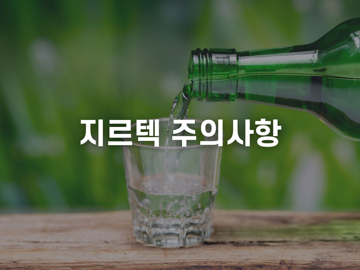 지르텍 주의사항.jpg