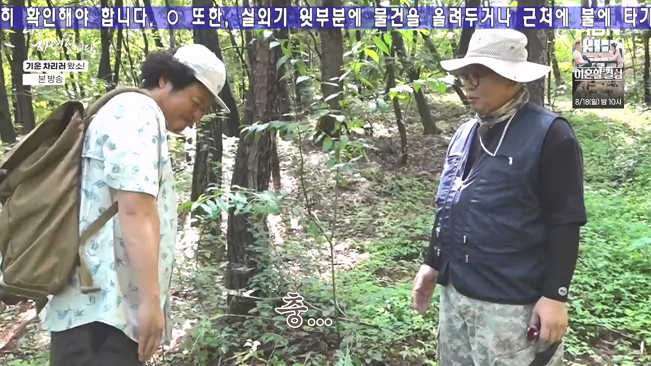 나는 자연인이다.E617.240808p-NEXT.mp4_20240808_195039.846.jpg