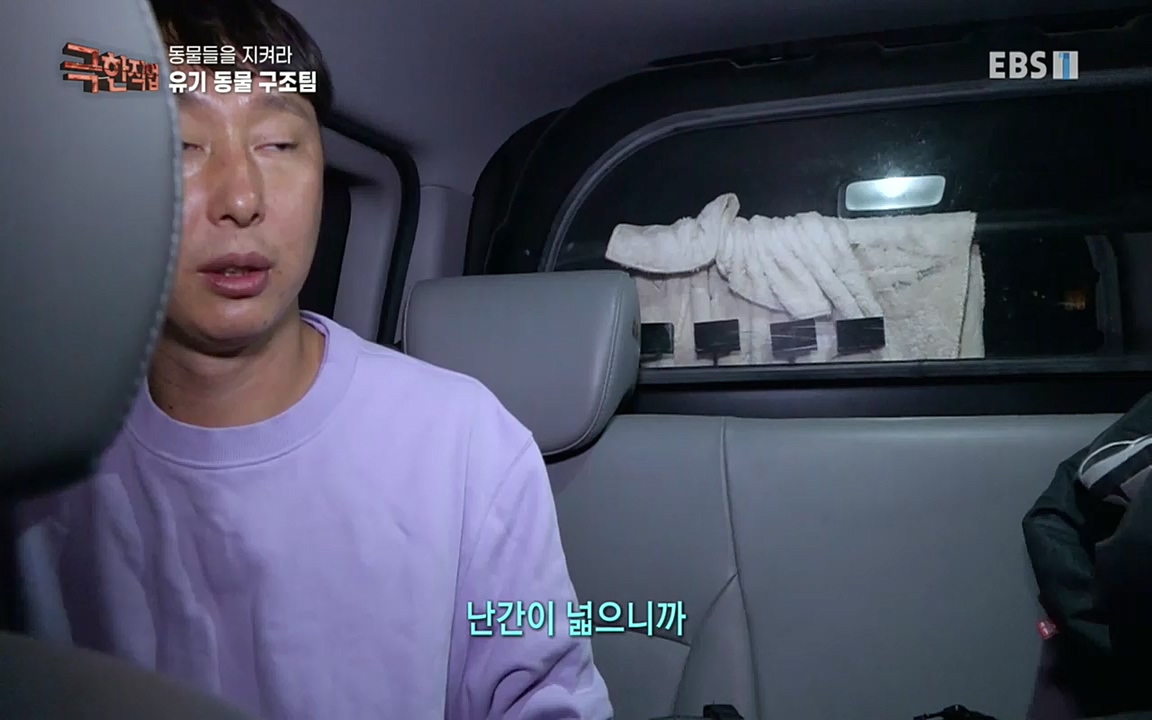 TV - 교육의 중심 EBS동물들을 지켜라, 수의사와 유기 동물 구조팀.mp4_20220913_200155.923.jpg