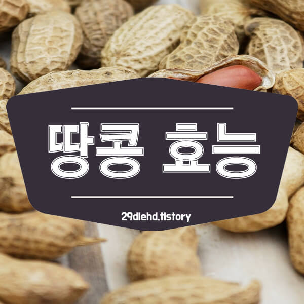 땅콩 효능 6가지! 껍질 알레르기 부작용 칼로리 높은 음식 치매예방법 GI지수 낮은 당뇨에 치매에 빈혈에 뇌에 좋은 음식 1
