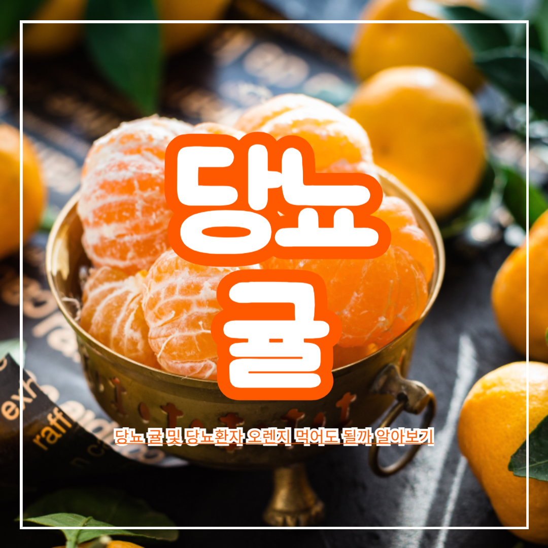 당뇨_귤_및_당뇨환자_오렌지_먹어도_될까_알아보기
