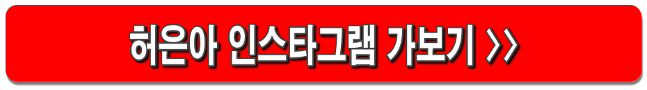 허은아 전의원 프로필 : 이재명 지지, 이준석과 갈등, 정치입문 이유