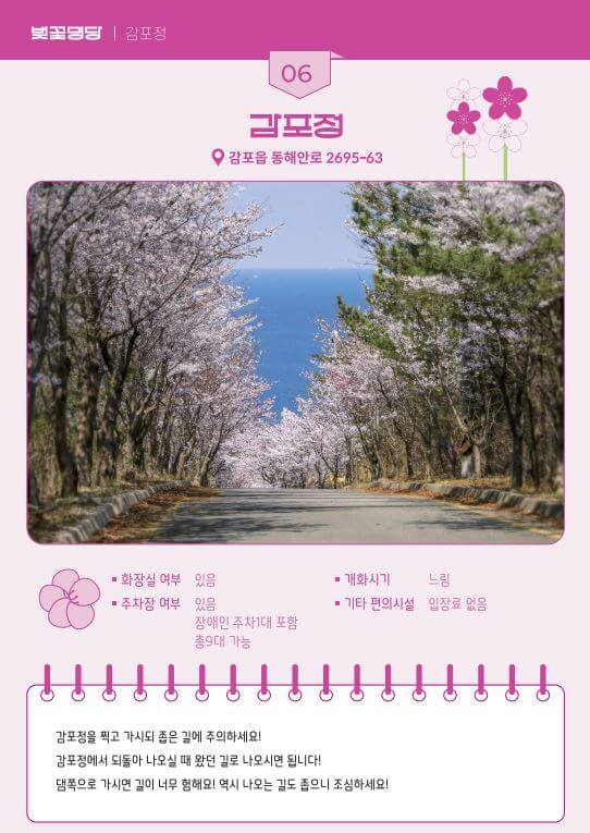 벚꽃-명당-감포정