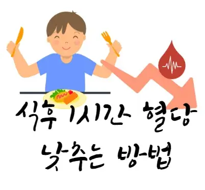 식후 - 1시간 - 혈당 - 강하 - 방법