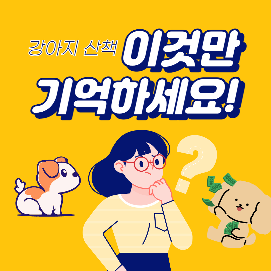  강아지 산책 !! 어떤 방법으로 해야 할까?