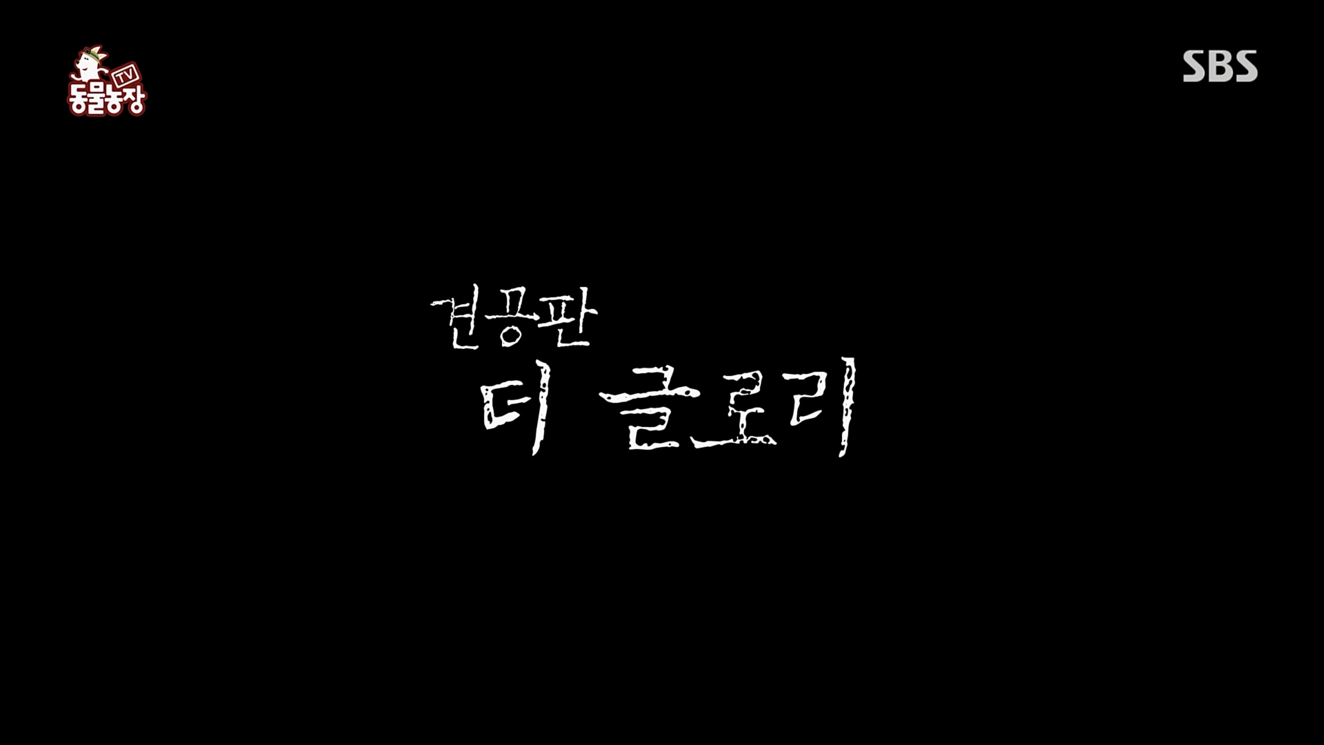 TV 동물농장.E1110.230305p.H264-F1RST.mp4_20230305_181605.266.jpg