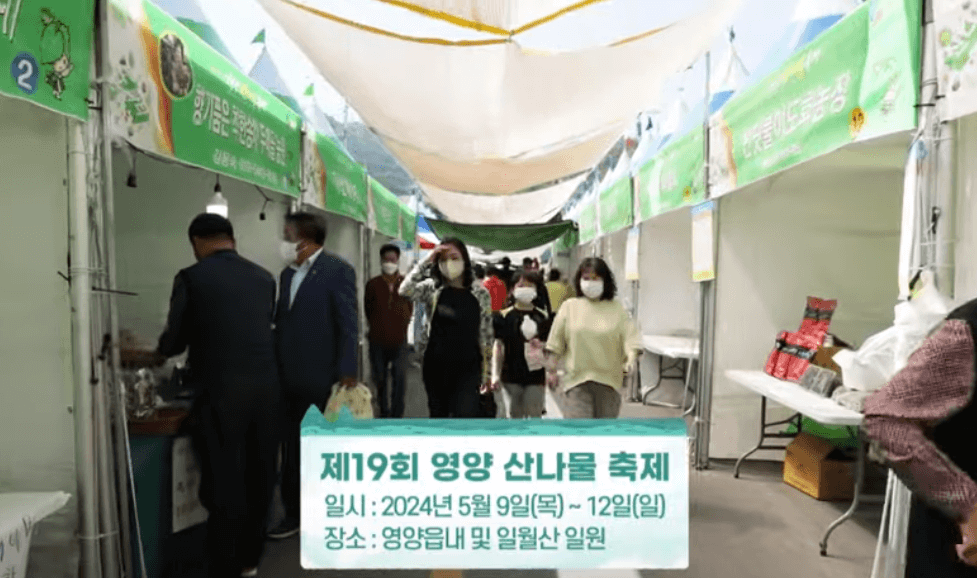 영양 산나물축제날짜 가수 주차 2024