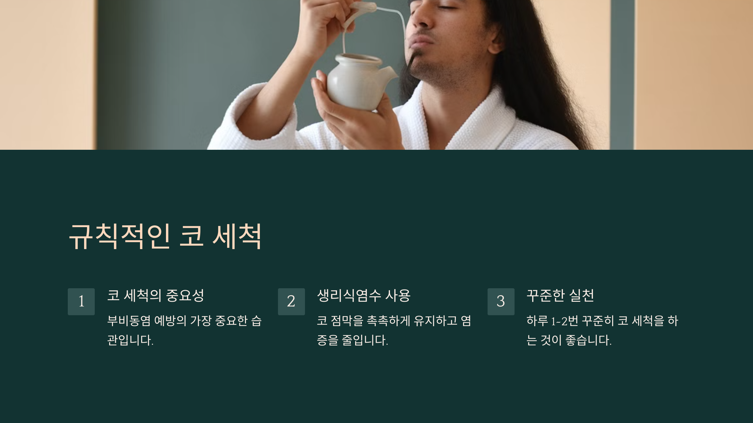 규칙적인 코 세척