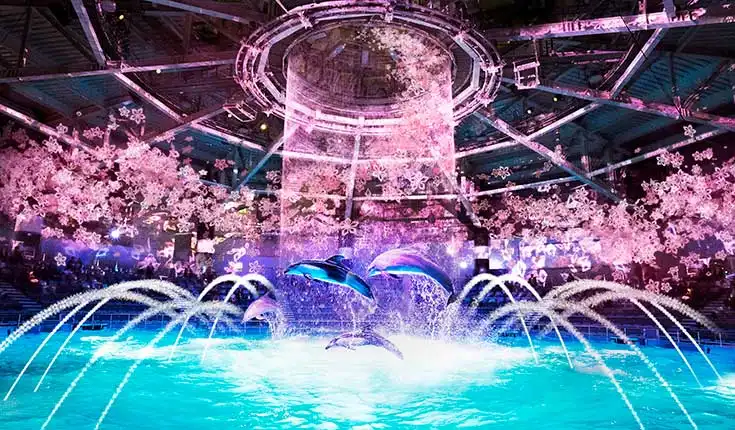 NAKED SAKURA AQUARIUM(시나가와)2