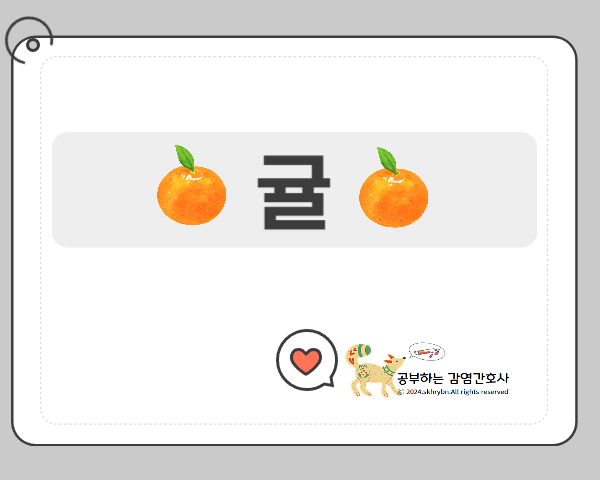 생활 상식_&quot;귤(tangerine)&quot;살펴보기: 하우스 vs 노지 차이점