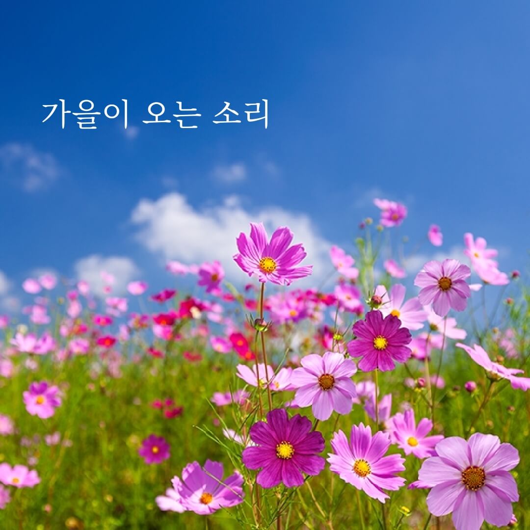 가을 좋은글 모음