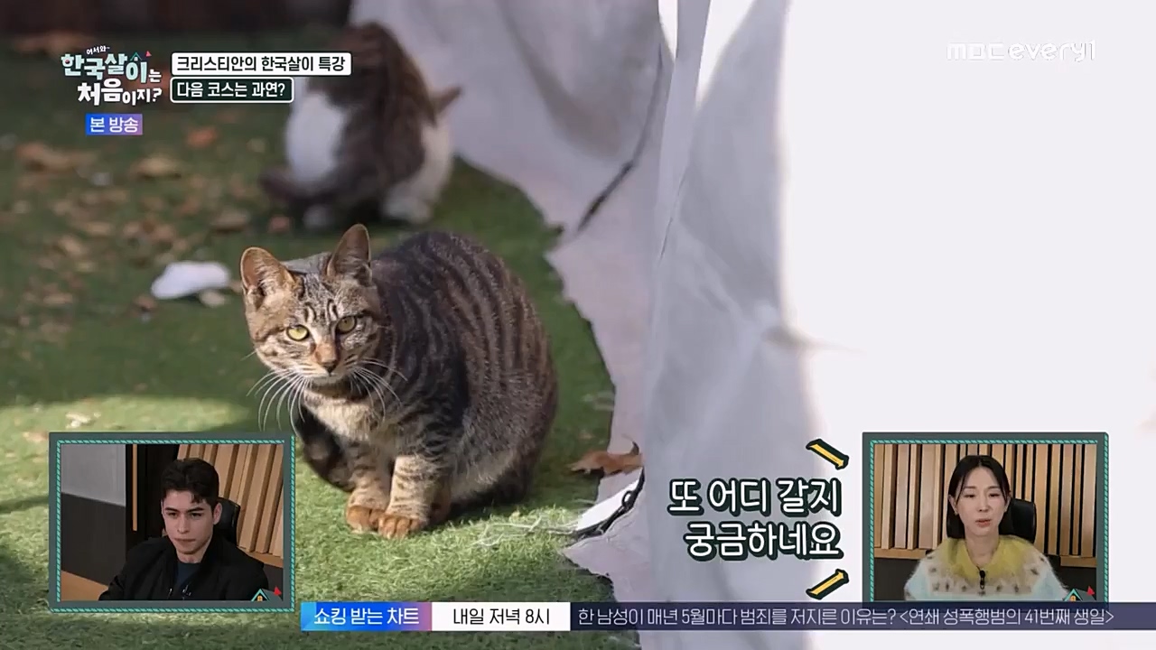 어서와 한국살이는 처음이지.E08.230208p-NEXT.mp4_20230209_194915.445.jpg