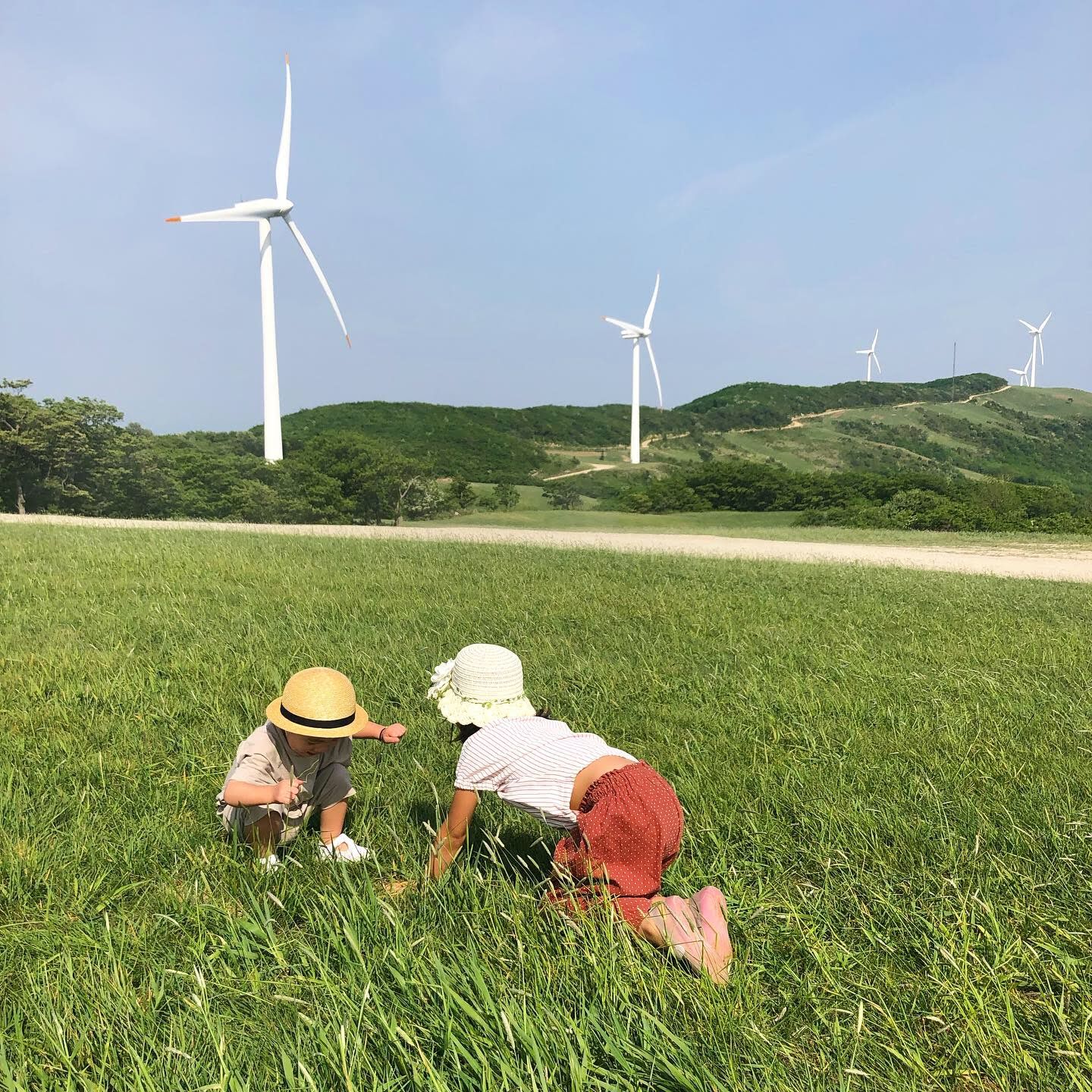  [아기랑나들이]삼양대관령목장