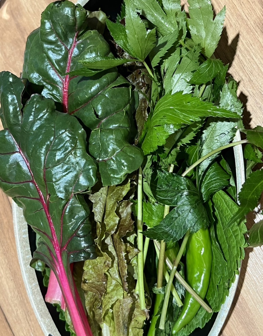 만만 이미지