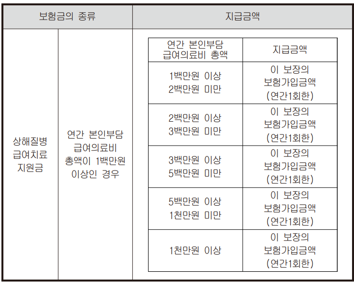 연간 본인부담 급여의료비 총액이 1백만원이상인 경우 지급보험금 가입금액별 분류