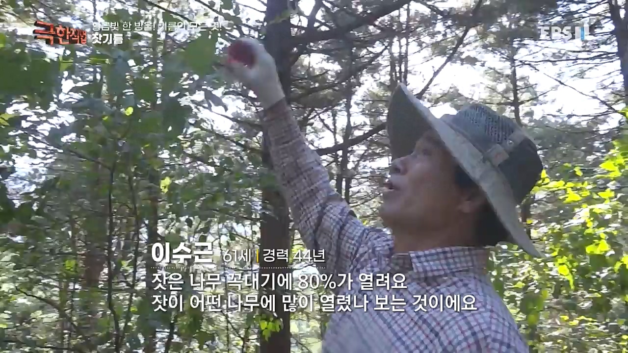 TV - 교육의 중심 EBS황금빛 한 방울! 기름의 모든 것!.mp4_20221031_191536.257.jpg