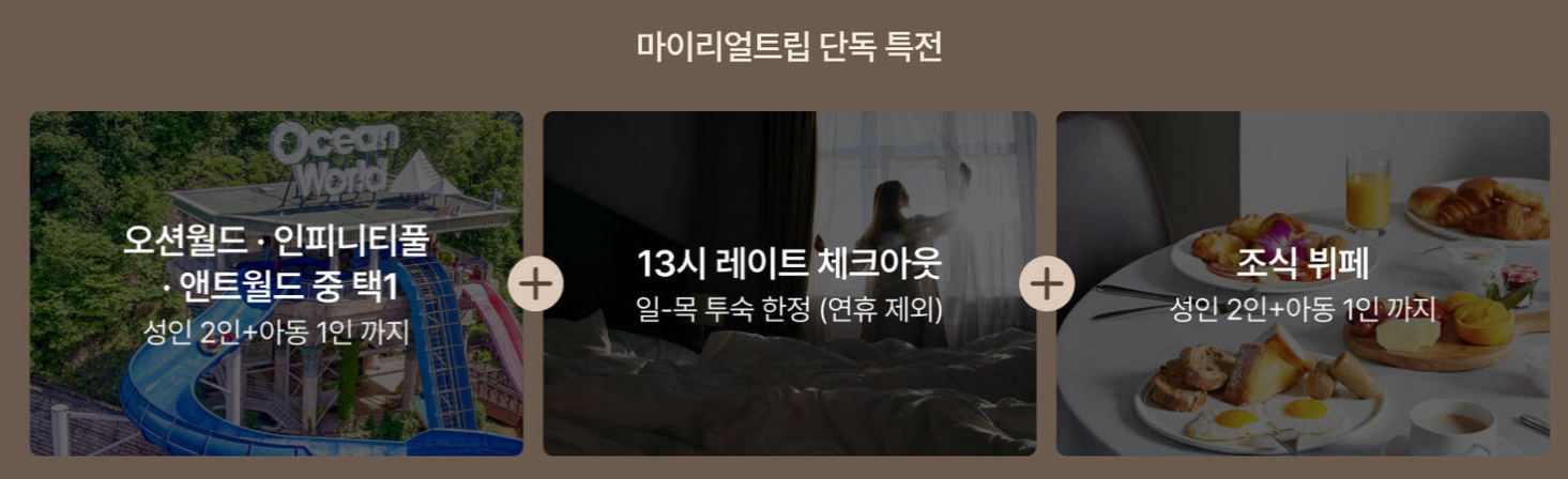 마이리얼트립 단독특전