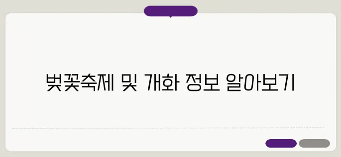 2025 구례 300리 벚꽃축제 기간과 전남의 벚꽃 명소 개화 시기를 알려드립니다. 아름다운 벚꽃과 함께하는 특별한 순간을 기대해 주세요!