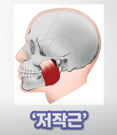  V라인 만드는 방법 아시나요..??