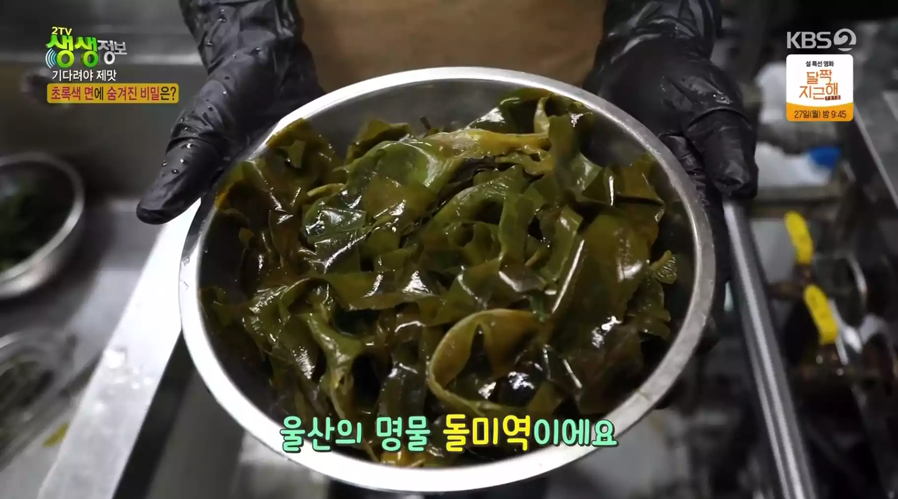 돌미역