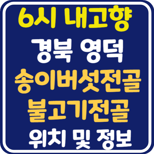 6시 내고향 영덕 송이버섯전골, 불고기전골 맛집 위치 및 정보