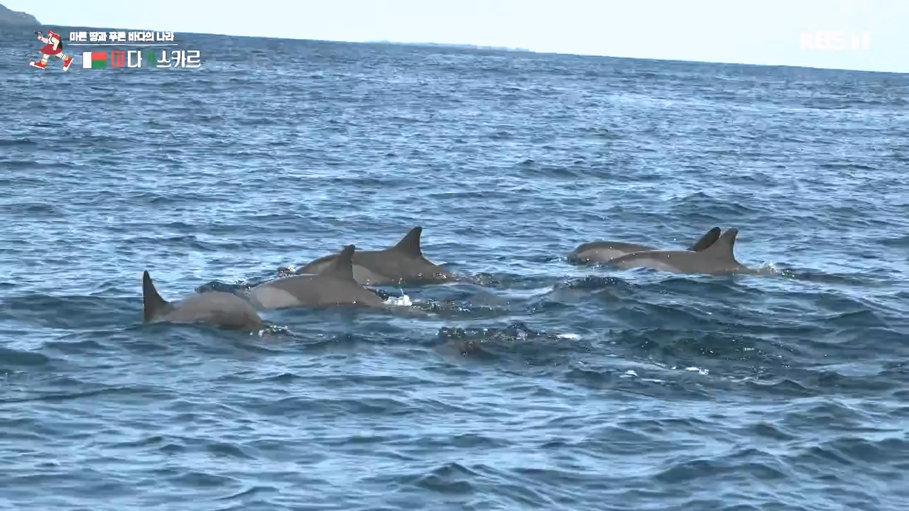 걸어서 세계속으로.E814.231022p-NEXT.mp4_20231022_170330.910.jpg